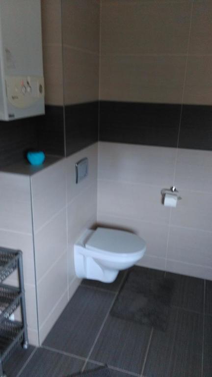 Apartament Tczew-Duze Pokoje! ภายนอก รูปภาพ